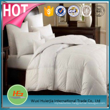 White Polyester Brushed Microfiber Thick Winnter Quilt